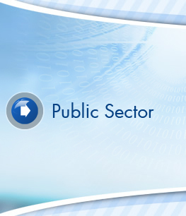 Public Sector